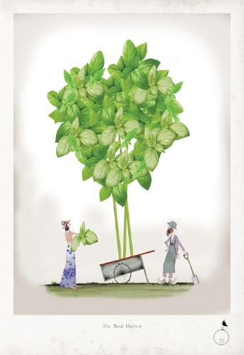 Basil - whimsical kitchen herb print by Tony Fernandes